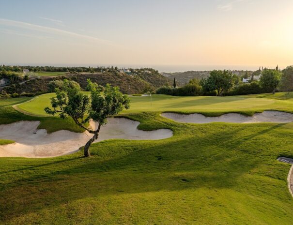 Aphrodite Hills Golf (7)