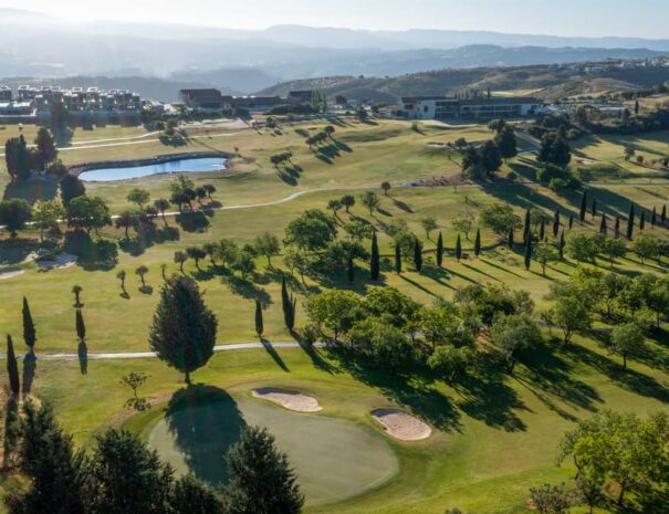 Minthis morning views