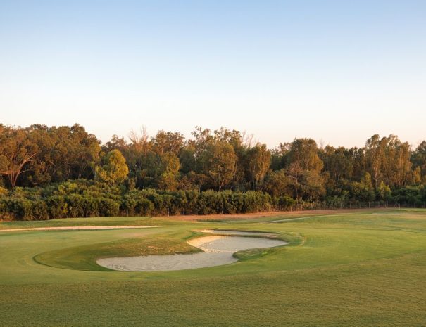 Limassol Greens bunker and green in front of the eucalyptus trees