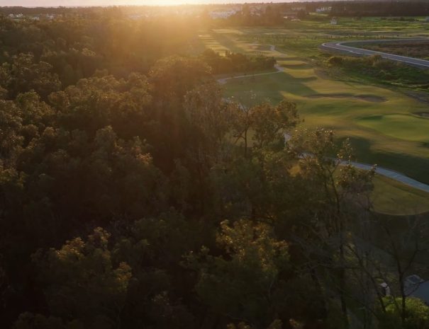 Limassol Greens fairways beside the eucalyptus forest